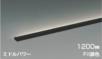 AL54713 Fit調色シェルフズコンパクト