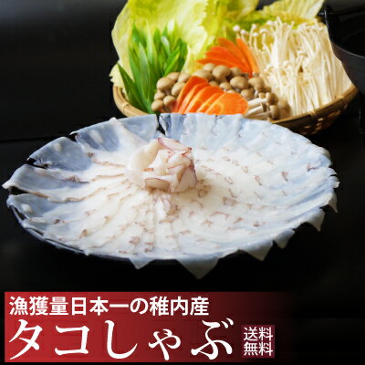 【送料無料】稚内産たこしゃぶ500g