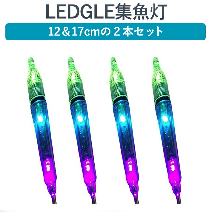 水中 集魚灯 17cm 12cm 2本セット 集魚ライト 高輝度LEDライト 夜釣り イカ釣り 海水 淡水 ライト 電池付き レインボー