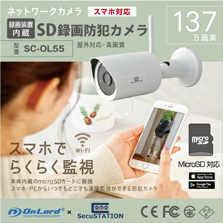 SDカード録画 プリレコード ダブル録画 Wi-Fi スマホ確認 防犯カメラ SC-OL55 オンサプライ(On SUPPLY)