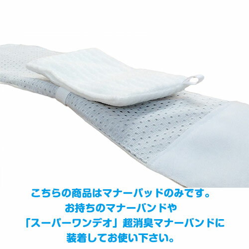 ��Coo Couture�ۥ��������塼�� Ķ�ý����꡼�����֥����ѡ����ǥ���Ķ�ۼ��ޥʡ��ѥå�(3��1��)[2016] SS / S��