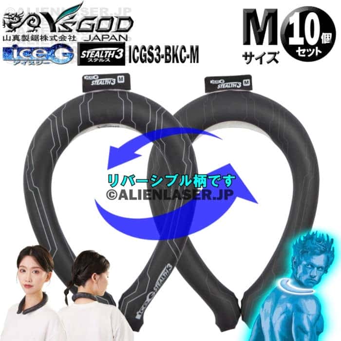 ̤ 10ĥå ICGS3-BKC-M 10 ice-G ƥ륹3 åɥ֥å M ICEG  3.0...