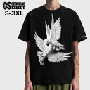 V系 Tシャツ メンズ モード系 Tシャツ メンズ カットソー ビッグプリント 鳩 バード オラオラ系 Tシャツ メンズ モード系 メンズ Tシャツ オシャレ 半袖 Tシャツ 2025 春 夏 新作 個性的 お兄系 ヴィジュアル系 ファッション ホスト ロック バンド 20代 30代 40代 50代 60代(4)