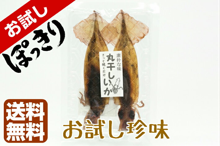 【送料無料500円ぽっきり】【お試しワンコイン珍味】おつまみ 珍味 酒の肴 《国内産 丸干しいか ☆お試し35g☆》まるごとイカ イカのワタ 酒の肴 おつまみ 珍味