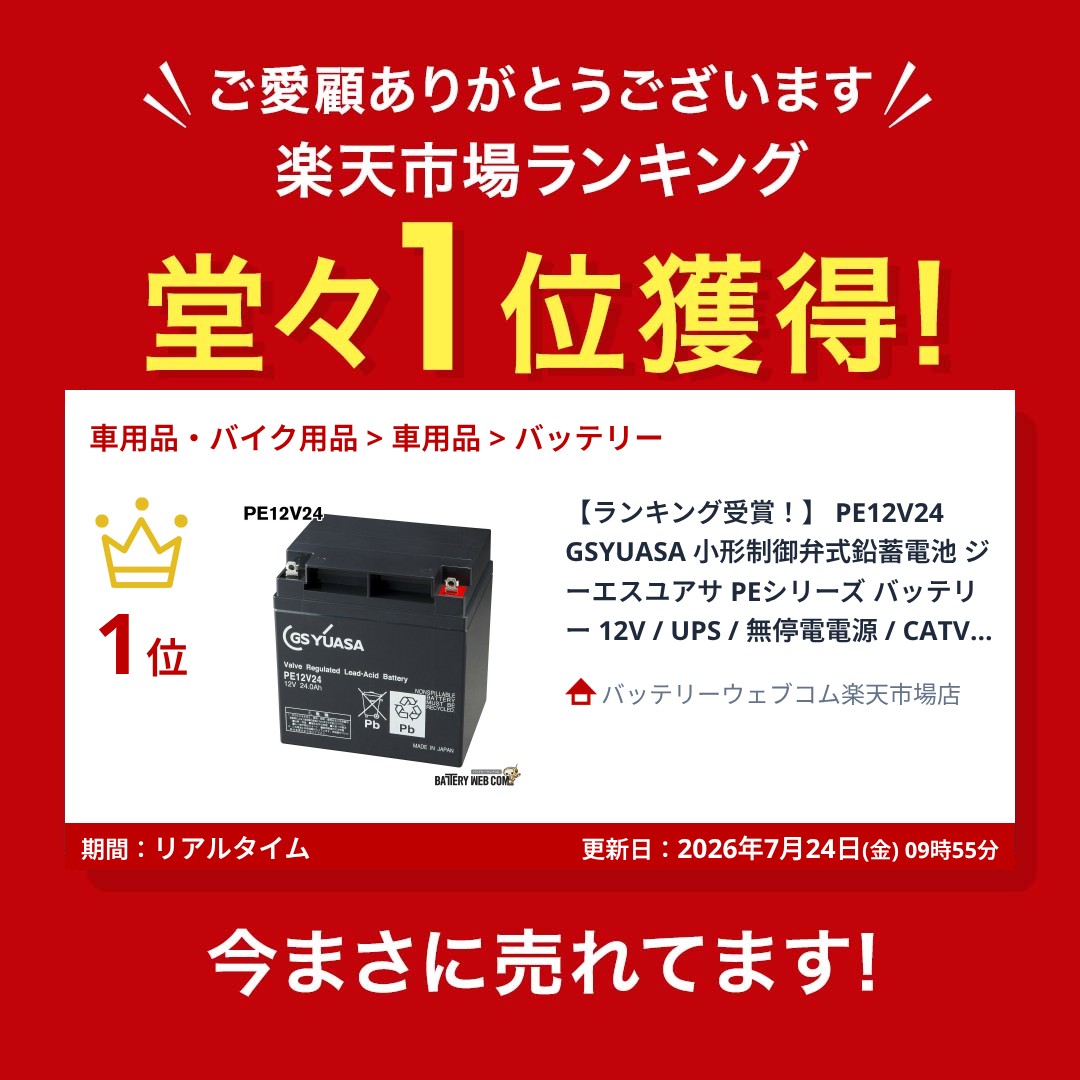 PE12V24 GSYUASA 小形制御弁式鉛蓄電池 ジーエスユアサ PEシリーズ バッテリー 12V / UPS / 無停電電源 / CATV / エレベータ 防災 防犯システム機器 / 非常 灯 送料無料 amcom-10028858 バッテリーウェブコム楽天市場店 サンプル画像2