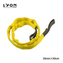 LYON (CI) XO iCXO 25mm 50cm yLY0622z