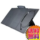 【送料無料】COSTCO コストコ 通販 EcoFlow エコフロー ソーラーチャージャー157cm 160W Solar Charger 【ITEM/48822】 | ポータブル電源対応 防災 キャンプ