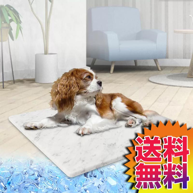 ̵ 䴶ޥå  ӥ󥳥 Ҥ ڥåȥܡ ꥢLuxury Marble 46566 | 䴶  
