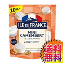 yzy①ցzCOSTCO RXgR ʔ ~jJ}x[`[Y ILE DE FRANCE ChtX 25g~10 y575069z | i``[Y Jr 