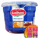 yzy①ցzCOSTCO RXgR ʔ GALBANI }XJ|[l`[Y/C^A 500g MASCARPONE Ko[j y50008z | eB~X ]bg pX^[ n