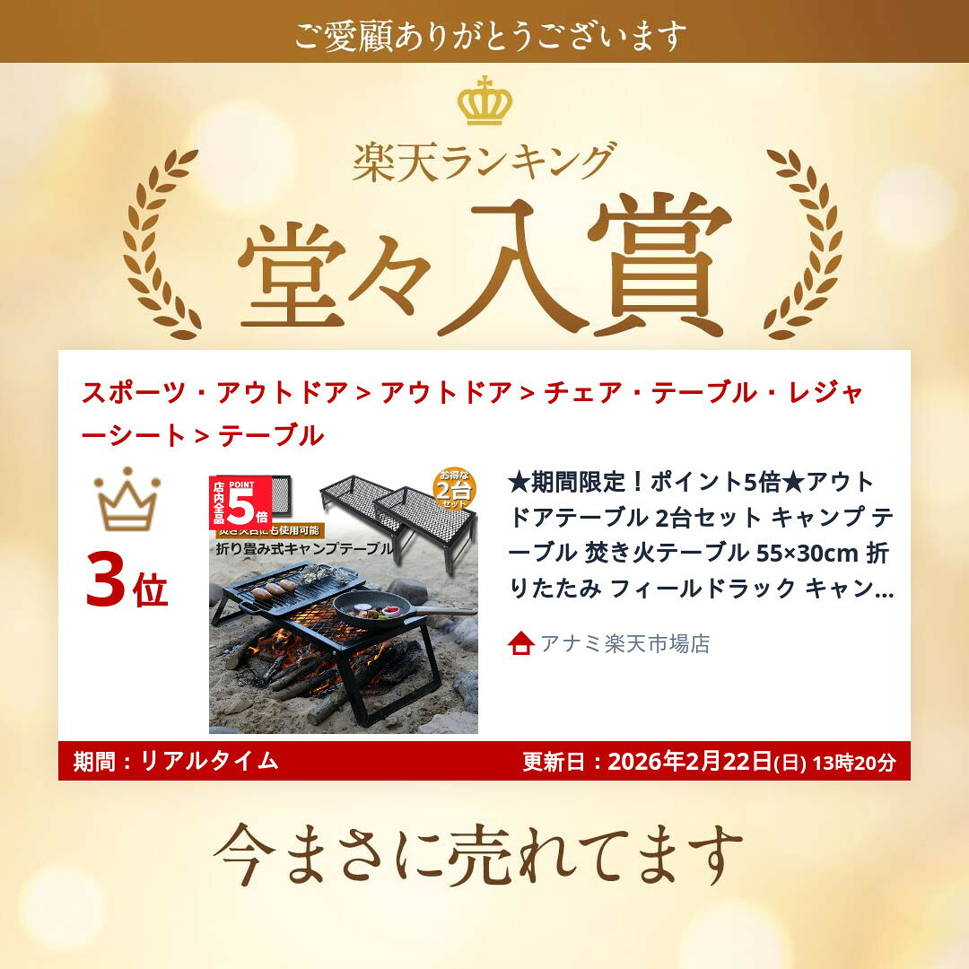 アウトドアテーブル 2台セット キャンプ テーブル 焚き火テーブル 55×30cm 折りたたみ フィールドラック キャンプ用品 フルメッシュミニテーブル スチール フィールドラック BBQ 軽量 焚き火 直火 キャンプ アウトドア 送料無料 anami-10000361 アナミ楽天市場店 サンプル画像2