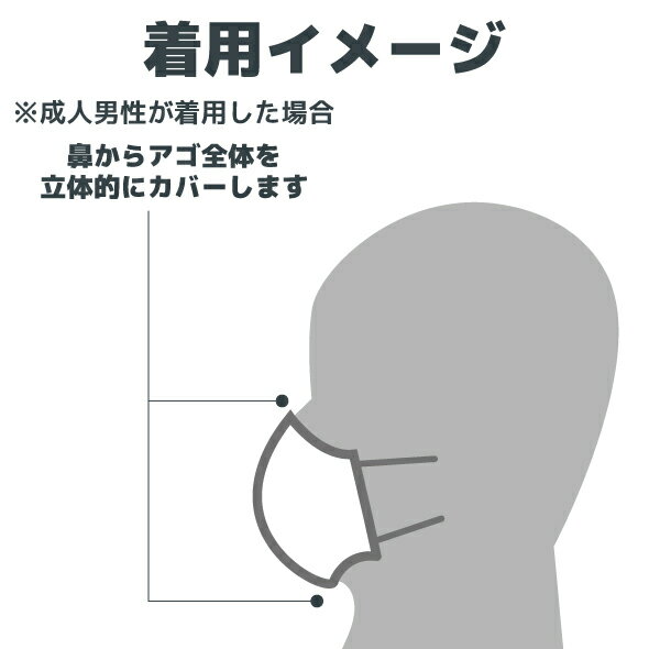 立体型マスク 白色 2枚組 　【レターパックプラス での発送】 【ネコポス不可】 男女兼用 大人用 白 マスク 立体 綿100％ コットン 布マスク 洗えるマスク