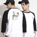 (ローター) ROTAR Smoke Pair Raglan Tee バックプリント ラグラン 七分袖 rt2147608