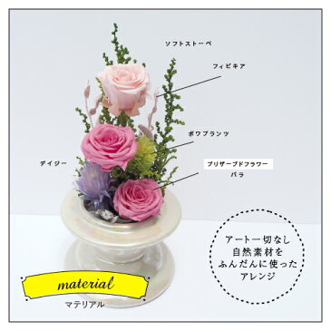プリザーブドフラワー 仏花 お供え花 ガラスドーム 花 お供え物 プリザードフラワー仏花 供花 御仏前アレンジ 法事 仏壇用 仏具 花ギフト おしゃれ お供えの花 ミニ モダン お彼岸 弔電 一周忌 アレンジ仏花 命日 花 造花 三回忌 四十九日 豪華 一対 ペット 喪中