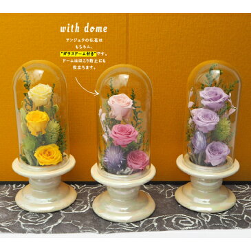 プリザーブドフラワー 仏花 お供え花 ガラスドーム 花 お供え物 プリザードフラワー仏花 供花 御仏前アレンジ 法事 仏壇用 仏具 花ギフト おしゃれ お供えの花 ミニ モダン お彼岸 弔電 一周忌 アレンジ仏花 命日 花 造花 三回忌 四十九日 豪華 一対 ペット 喪中