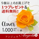 あす楽 プリザーブドフラワー ギフト 誕生日 バースデーギフト お礼 お返し 玄関 プリザ プレゼント 出産祝い お礼 プレゼント交換 贈り物 プチギフト 景品 アイテム プチ ちょっとした ブリザーブド クリアケース 母の日 お見舞い 父の日 1000円