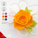 プリザーブドフラワー 即日発送 プリザ ブリザードフラワー 母の日 ホワイトデー ギフト 誕生日 バースデーギフト お礼 お返し 玄関 プリザ プレゼント プレ...