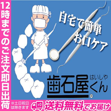 歯石屋くん(R) | 軽くこするだけ/歯ブラシでは落ちない歯垢やヤニを除去/歯と歯ぐきの健康を保つ セルフケア 歯石対策 歯石除去 歯石 ピック ミラー付き ヤニ掃除 就活 身だしなみ 黄ばみ 歯 ヤニ 歯