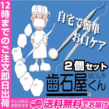 歯石屋くん(R)(2個セット) | 軽く擦るだけで歯垢除去歯石取り 歯石屋くん(R) 歯石 ミラー付き 研磨剤なし 歯磨きセット 歯みがき粉 歯みがき ハミガキ 歯みがきセット