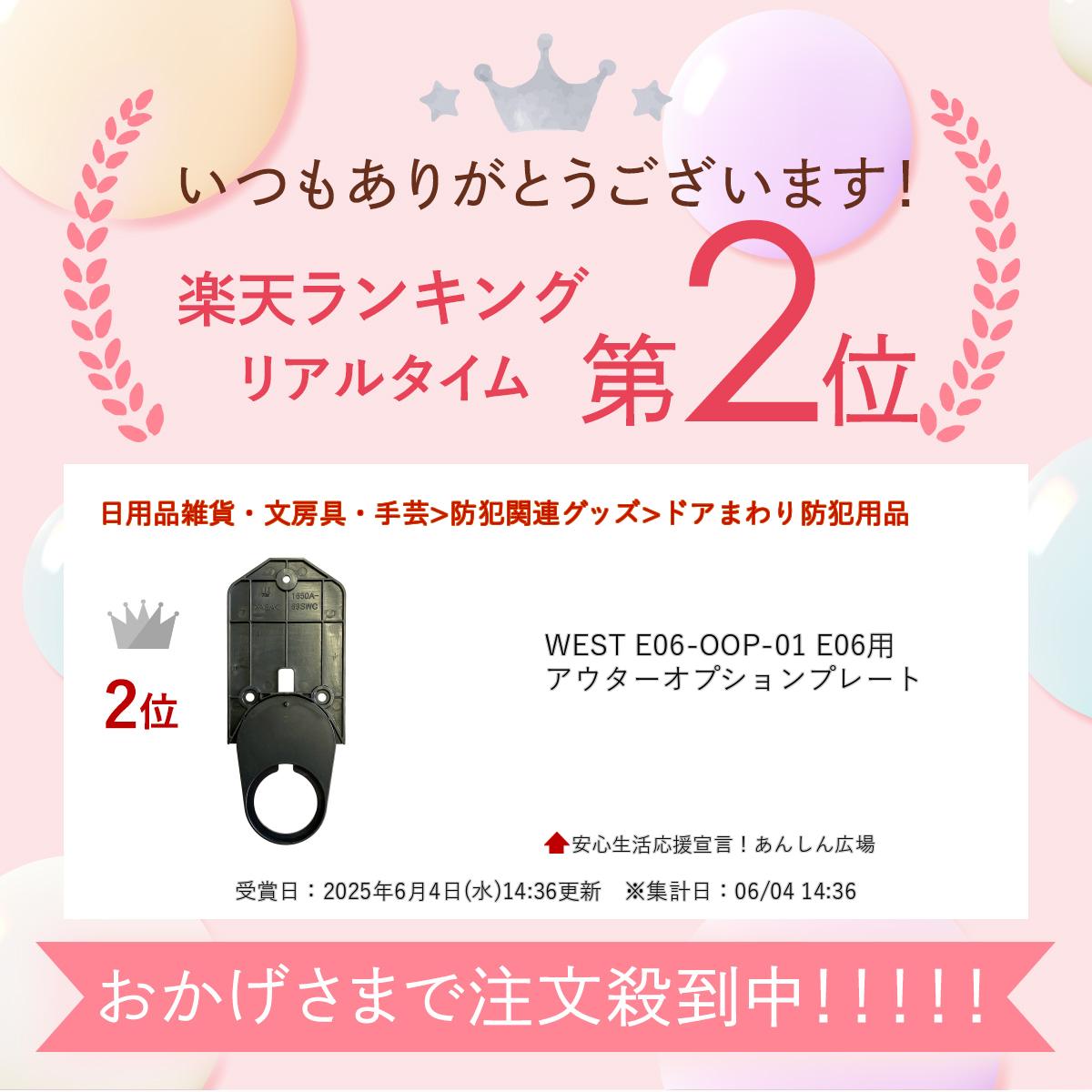 WEST E06-OOP-01 E06�� �����������ץ����ץ졼��