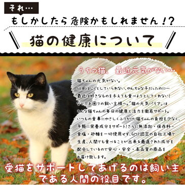 猫の元気バリアサポート 100g 4個セット メール便送料無料 ペットライフサプリメント 愛猫の免疫力にプロポリス アガリクス 植物性乳酸菌BIO酵素配合