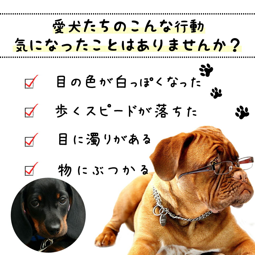楽天市場 犬のキラキラアイ 100g 2個セット メール便送料無料 ドッグサプリ アニマルサプリ ブルーベリー ルテイン プロポリス 愛犬 目 瞳 ペット 犬用 犬 粉末 Ssサーチ Relief Life リリーフライフ