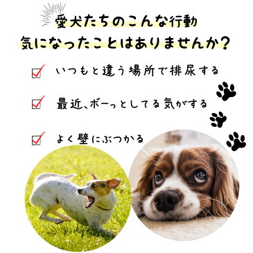 【犬の頭サエサエ（100g）】(メール便送料無料 ローヤルゼリー イチョウ葉 ビンカマイナー プロポリス)【winter_sp_d】