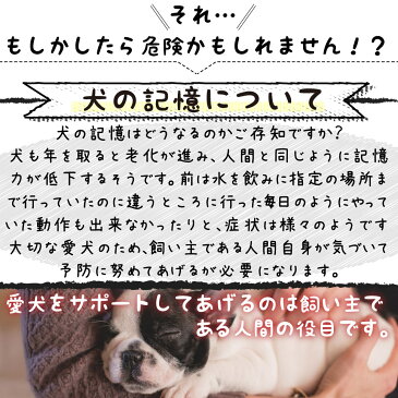 【犬の頭サエサエ（100g）】(メール便送料無料 ローヤルゼリー イチョウ葉 ビンカマイナー プロポリス)【winter_sp_d】