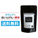 もぐもぐリセット クーポン使って1,000円！ 送料無料 サラシア 白インゲン豆 酵母 乳酸菌生産物質 イヌリン キクイモ ギムネマ 桑の葉 アクタニン サプリメント 糖質制限ダイエット 炭水化物ダイエットサプリ 健康サプリ