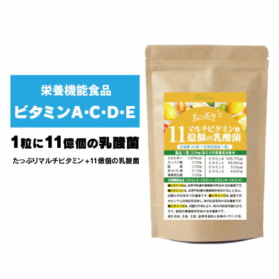 たっぷりマルチビタミン+11億個の乳酸菌 マルチ ミネラル サプリ 乳酸菌 亜鉛 酵母 ビフィズス菌 植物発酵エキス ビタミンK2 ビタミンC ビタミンB12 ビタミンA ビタミンB1 ビタミンB2 ビタミンB6 ビタミンD3 葉酸 ビタミンE 潤い 栄養機能食品 送料無料 夏 対策