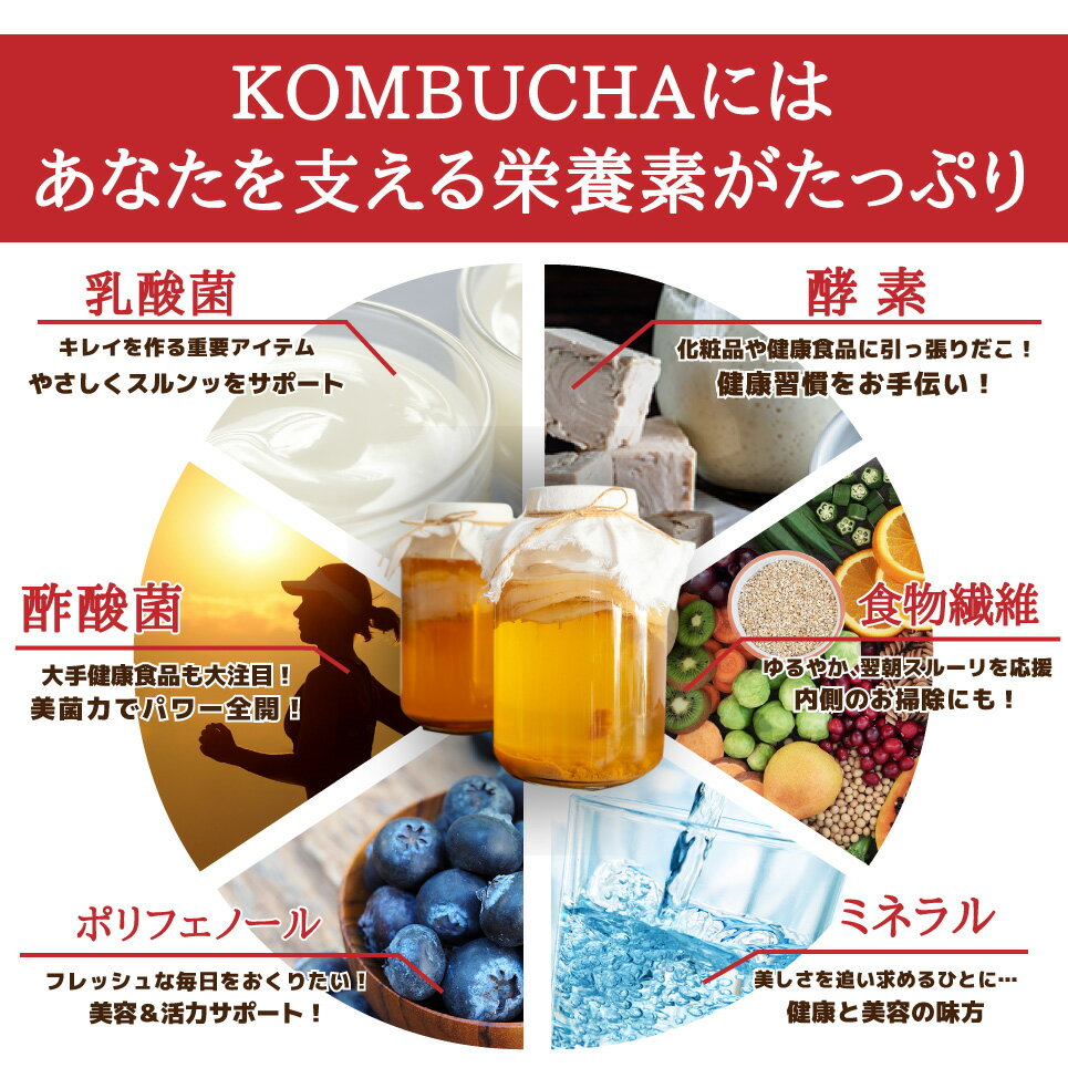 国内配送 コンブチャコールダイエット 福袋 10個セット コンブチャ コンブチャクレンズkombucha Chacoal 紅茶キノコ 竹炭 酵母 乳酸菌生産物質 菌活 チャコールダイエット チャコールクレンズ 難 Szentendreibaptista Hu
