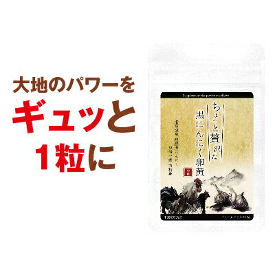 【ちょっと贅沢な黒にんにく卵黄】(ポリフェノール アンチエイジング メール便送料無料 指宿温泉 伝統黒にんにく 有精卵黄 温泉熱 醗酵 熟成 しじみ 牡蛎 えごま油 健康サプリメント 黒岩 イミダゾールジペプチド 黒岩式卵黄油)