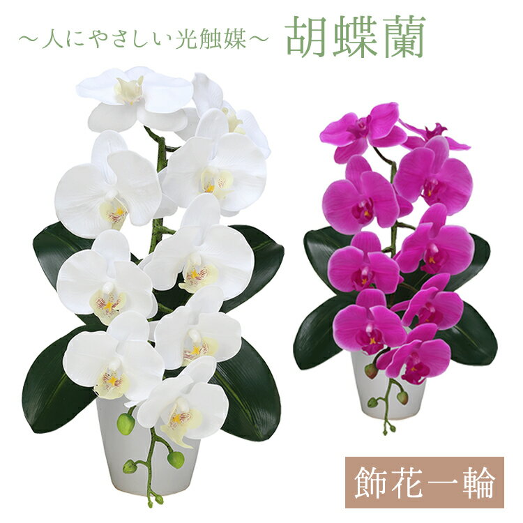 飾花一輪胡蝶蘭〔白・紫〕【造花】【胡蝶蘭】【光触媒】【抗菌】【消臭】【環境にやさしい】【京都】【日本製】【省エネルギー】【太陽光】【室内光】【お祝い】【開店祝い】【新築祝い】【送料無料】【贈答品】【ギフト】【インテリア】【お買い物マラソン ポイント10】