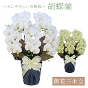 飾花三本立胡蝶蘭〔ホワイト・グリーン〕【造花】【胡蝶蘭】【光触媒】【抗菌】【消臭】【環境にやさしい】【京都】【日本製】【省エネルギー】【太陽光】【室内光】【お祝...