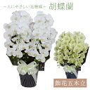 飾花五本立胡蝶蘭〔ホワイト・グリーン〕【造花】【胡蝶蘭】【光触媒】【抗菌】【消臭】【環境にやさしい】【京都】【日本製】【省エネルギー】【お祝い】【開店祝い】【新...