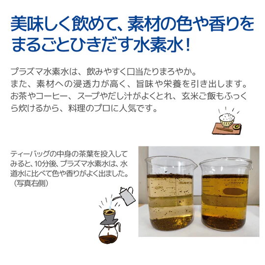 水素水生成スティック「プラズマプラクシス」(20158)