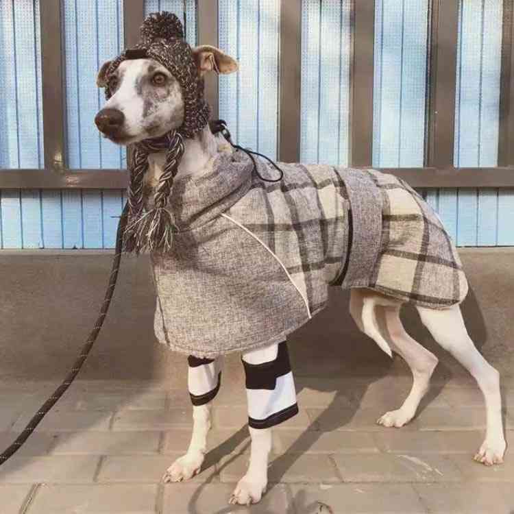 袖なし 冬服 犬服 ジャケット ポンチョ 大型犬 簡単着用 暖か ドッグウェア 洋服 5色展開 中型犬 小型犬 防寒 マジックテープ 着せやすい ハイネック 保温 犬の服 可愛い 女の子 男の子 オス メス 裏ボア