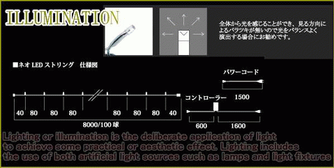 ��2013�����ߥ͡�������LED����ॹ�ȥ졼�ȥ饤�� �⵱�١ڥ磻��ۥ磻�ȡۡ�100��ۡ�LED����ߥ͡�����󡡥�����ƥ����ι⤤����ߥ͡����������������LED�ۡ�����̵���ۡڥ��ꥹ�ޥ��ۡڥ���ߥ͡������ۡ��ž��ۡڥ�����աۡ���͵���