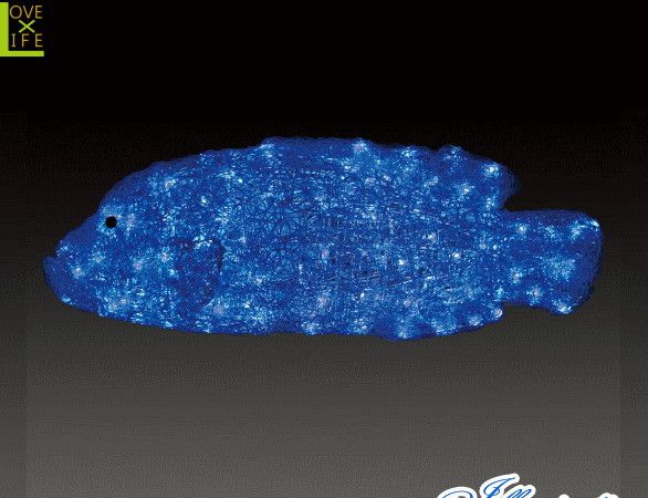 LEDۡACR-(A)FISH-NFۡ緿ʡLEDꥹʥݥ쥪եåڵۡڥʡۡڥեåۡڳۡڿۡڥ...