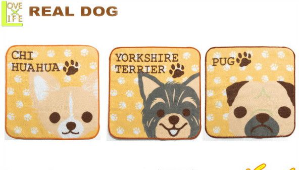 【REAL DOG】【犬シリーズ】タオル【DOG】【犬】【ミニタオル】【ハンドタオル】【雑貨】【かわいい】【わんちゃん】【ドッグ】【いぬ】【アニマル】【動物】わんちゃんグッズ大人気 種類が豊富ですのでお気に入りのワンちゃんをどうぞ 世界中のわんちゃん勢揃い【大大人気】
