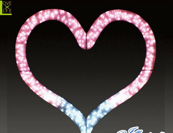 LEDߥ͡緿ʡӥåϡLϡȡ֡ꥹ롡եࡡžաꥹޥ