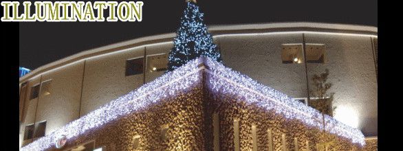 2012ߥ͡LEDꥹ ƥ饤ȡڥۡڥƥۡLEDߥ͡󡡥ƥι⤤...