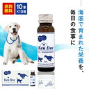 楽天漢方の葵堂薬局【最大ポイント5倍！4/30～5/1迄】ケンドック50mL×10本×10箱（発送までに4～5日かかる場合があります） 健康食品 さぷり ペット 犬イヌ 猫ネコ 愛犬・愛猫用栄養補完食 ドリンクタイプ