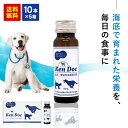 【最大ポイント5倍！4/20限定】ケンドック50mL×10本×5箱 メント 健康食品健康 さぷり ペット 犬イヌ 猫ネコ 愛犬・愛猫用栄養補完食 ドリンクタイプ