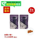 ラクトヴェリタス30粒×2袋 ビフィズス菌B-3 ビフィズス菌BB536 ダイエット