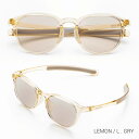 SOLAIZ ソライズ サングラス Daily use ミドルウエリントン SLD-001 レモン ライトグレー LEMON L.GRY