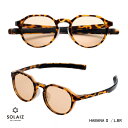 SOLAIZ ソライズ サングラス Daily use クラウンパント SLD-004 HABANA/L.BR