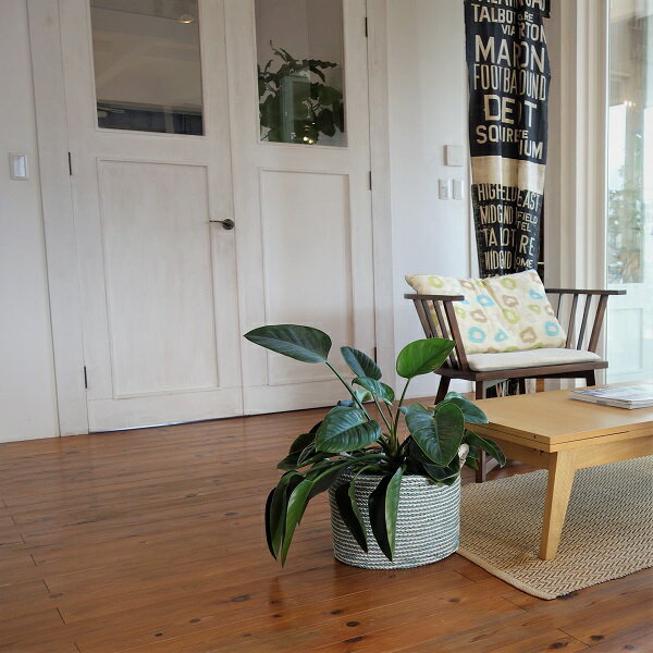 在庫処分 バスケット 水色 3サイズ かご 鉢カバー ゴミ箱