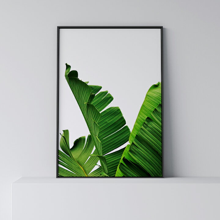 ポスター 北欧 おしゃれ インテリア アート アートパネル 【 Banana Leaf 】 リーフ  ...