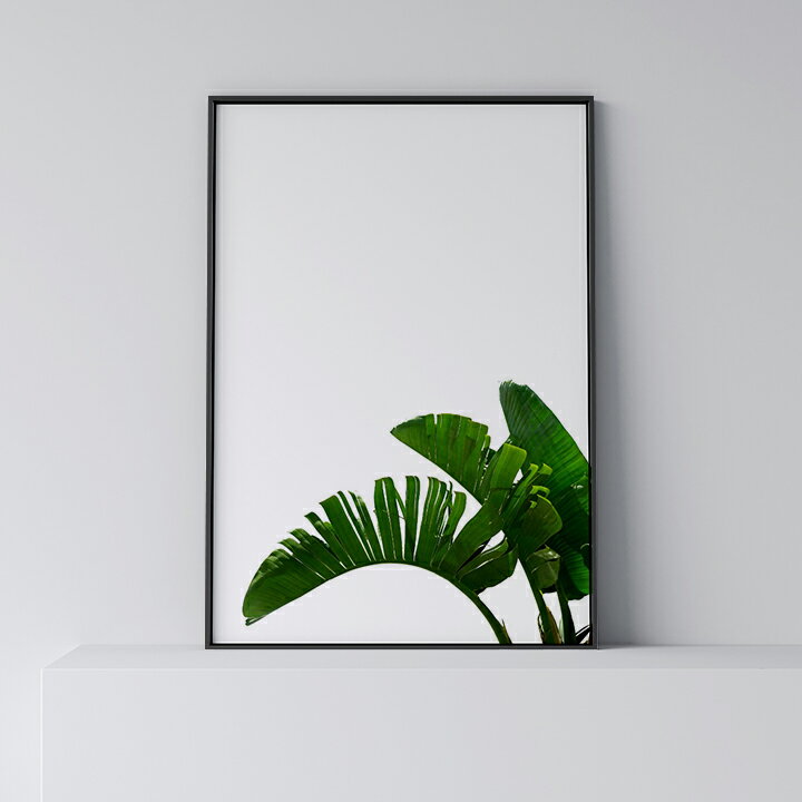 ポスター 北欧 おしゃれ インテリア A3 B3 アート アートパネル 【 Banana Leaf 4 】 リーフ 植物 葉 バナナ 緑 グリーン 葉っぱ モダン シンプル フレーム付き A0 A1 B1 A2 B2 A3 B3